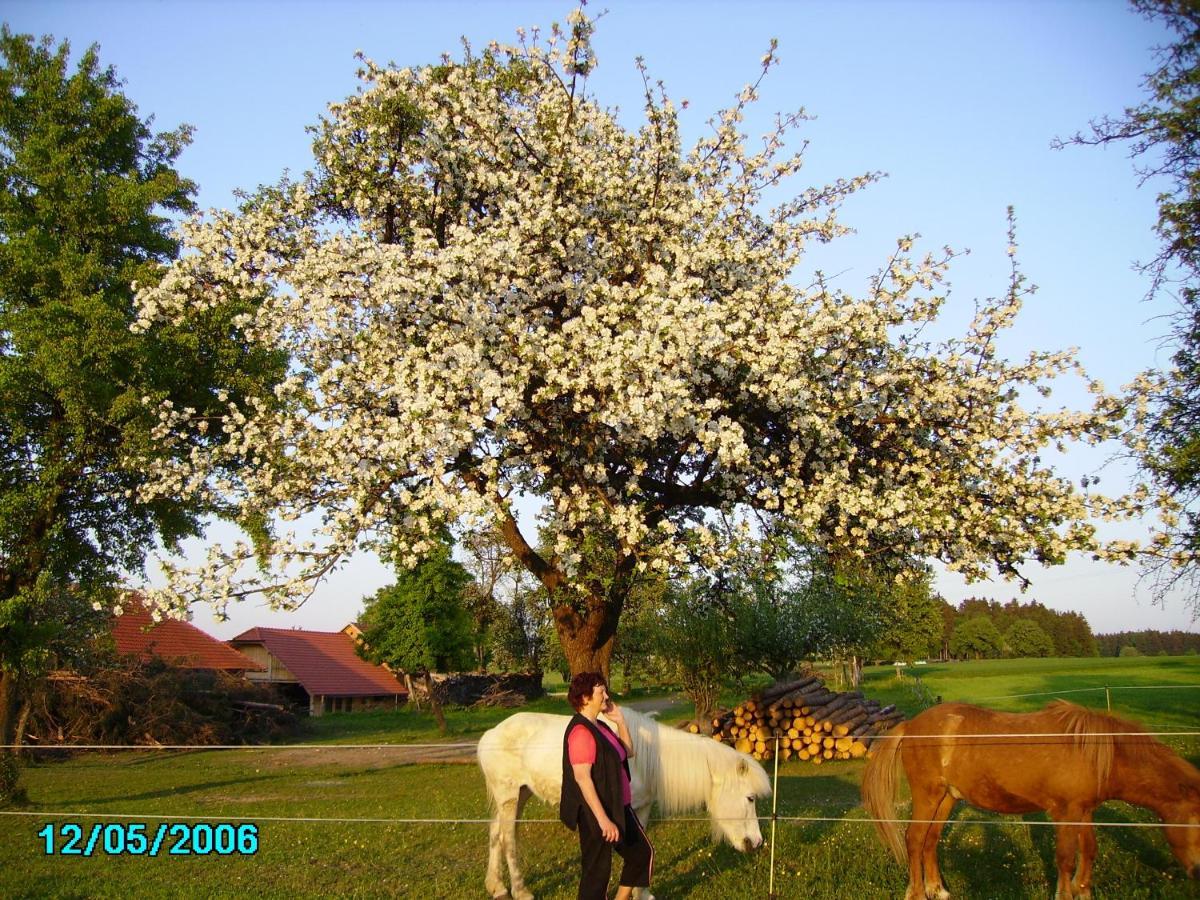 Gestehof Hetzenberg Haag 외부 사진